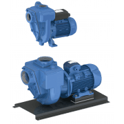GMP Electric Surface Self Priming Pumps