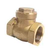 Swing Check Valves
