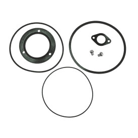 JS250SV JS400SV JST4SV O Ring Kit