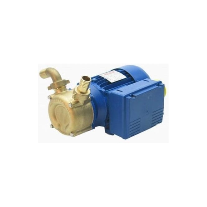 PT25 Self Priming Reversing pump