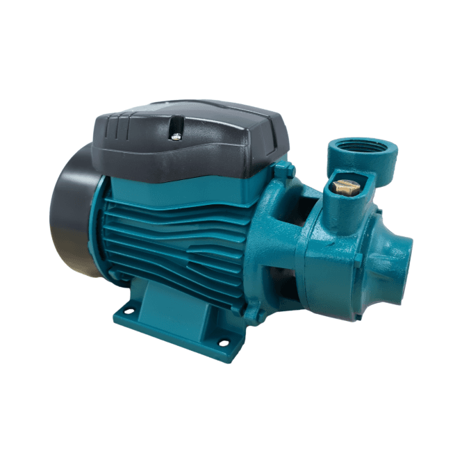 QB60 Peripheral Turbine Pump 230v